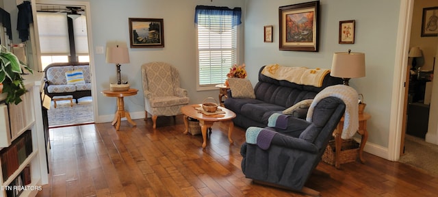 living room with ceiling fan and wood-type flooring