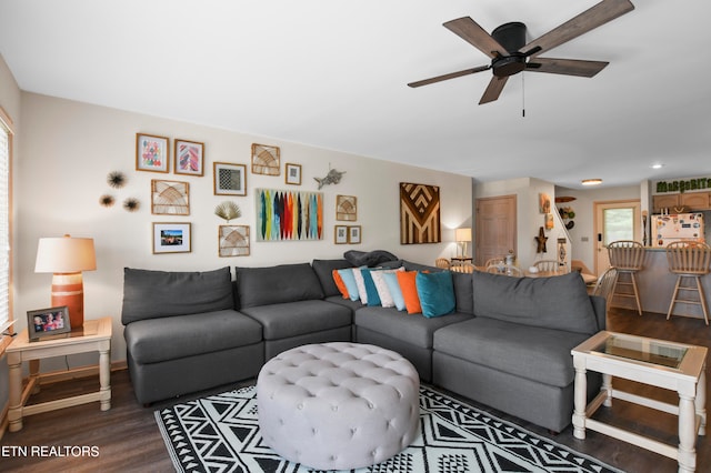 living room with ceiling fan and dark hardwood / wood-style flooring