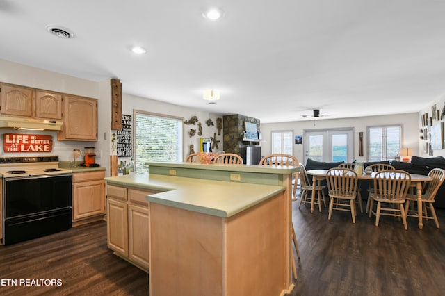 kitchen featuring electric stove, light brown cabinets, dark hardwood / wood-style floors, and french doors