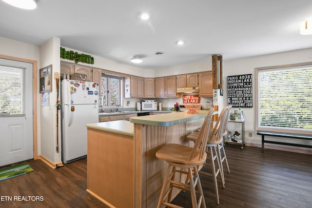 kitchen featuring a healthy amount of sunlight, white appliances, and dark hardwood / wood-style flooring