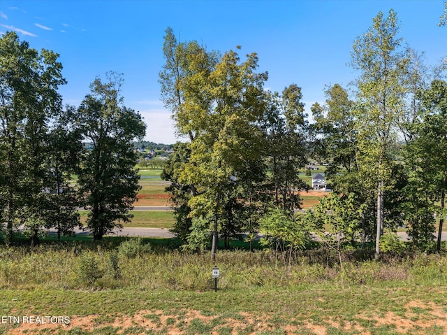 Listing photo 3 for 1479 Black Cove Ln, Loudon TN 37774