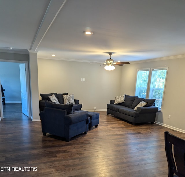 living room with crown molding, ceiling fan, and dark wood-type flooring