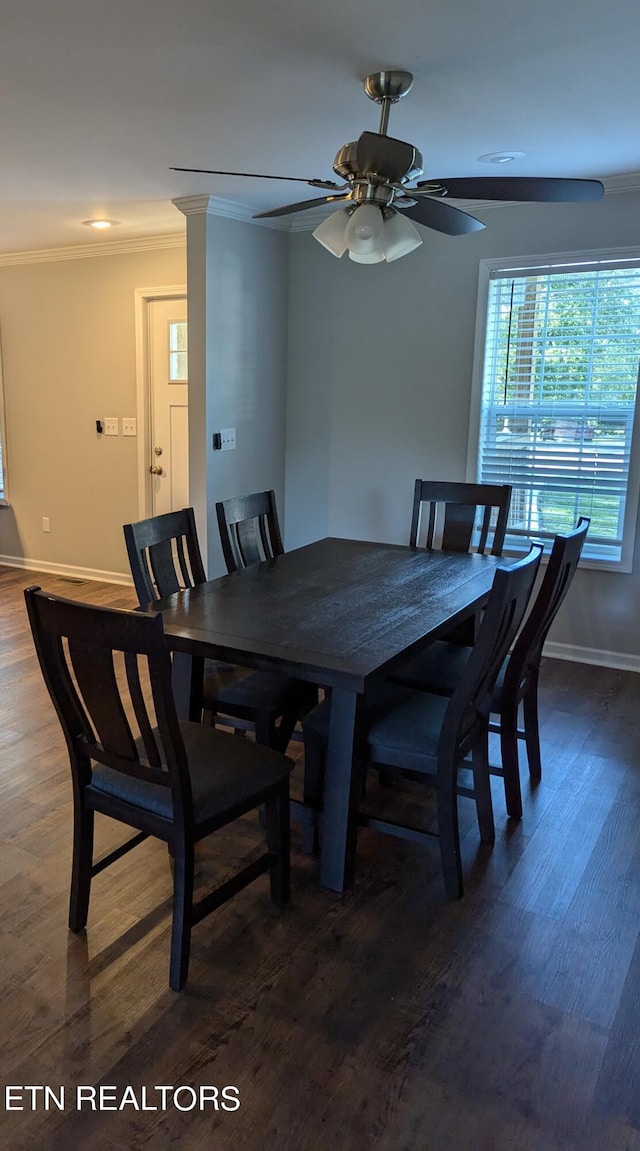 dining space featuring ceiling fan, ornamental molding, and dark hardwood / wood-style flooring