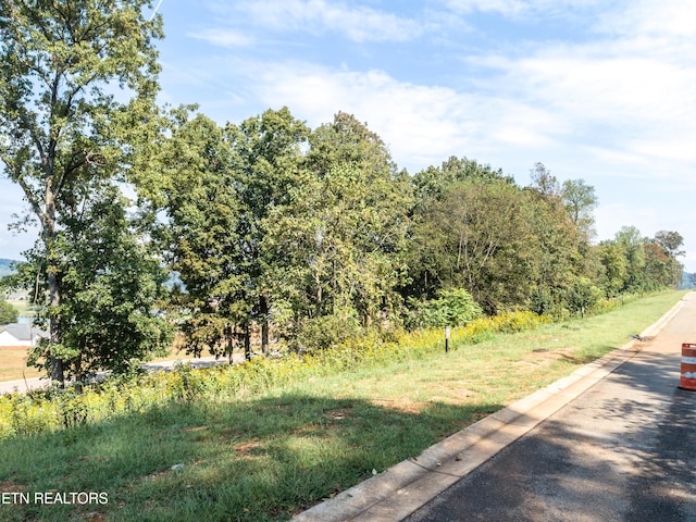 967 Black Cove Ln, Loudon, TN 37774 - photo 6