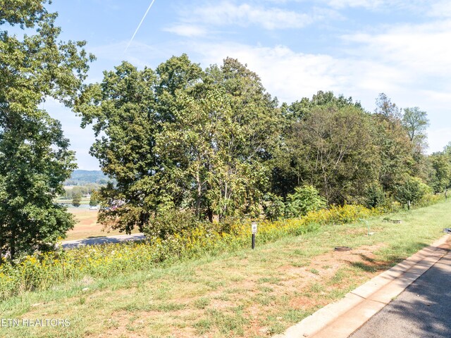 967 Black Cove Ln, Loudon, TN 37774 - photo 7