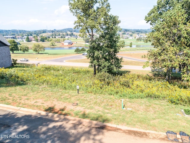967 Black Cove Ln, Loudon, TN 37774 - photo 10