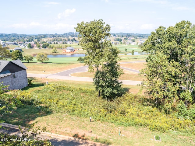 967 Black Cove Ln, Loudon, TN 37774 - photo 11