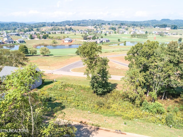 967 Black Cove Ln, Loudon, TN 37774 - photo 12