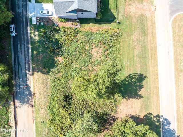 967 Black Cove Ln, Loudon, TN 37774 - photo 17