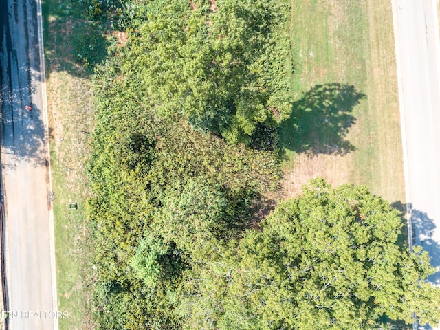 967 Black Cove Ln, Loudon, TN 37774 - photo 18