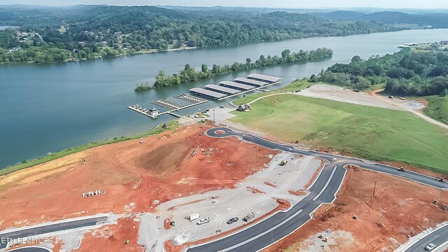 967 Black Cove Ln, Loudon, TN 37774 - photo 30
