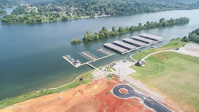 967 Black Cove Ln, Loudon, TN 37774 - photo 33