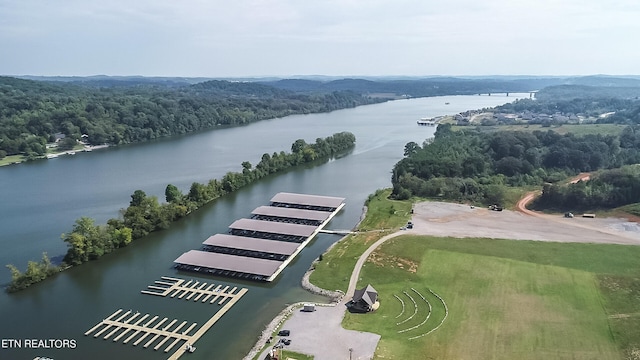967 Black Cove Ln, Loudon, TN 37774 - photo 35