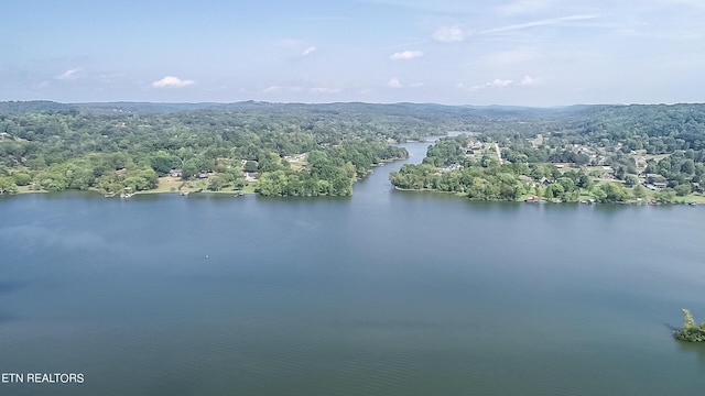 967 Black Cove Ln, Loudon, TN 37774 - photo 37