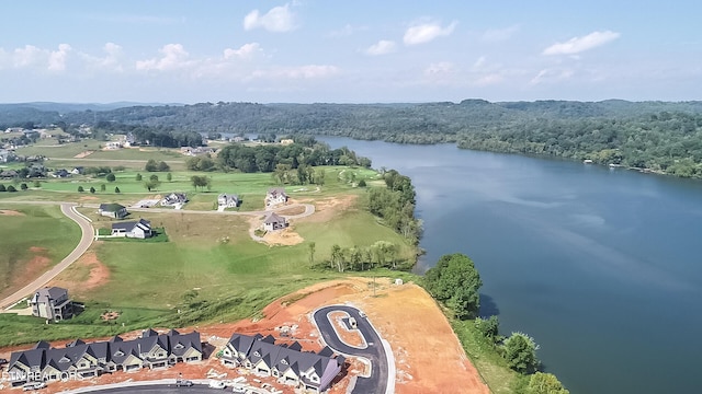 967 Black Cove Ln, Loudon, TN 37774 - photo 38