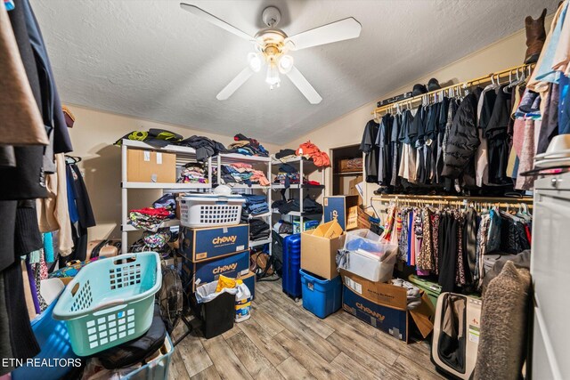 walk in closet featuring lofted ceiling, light hardwood / wood-style flooring, and ceiling fan