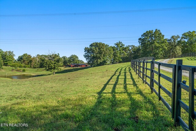 view of yard with a rural view