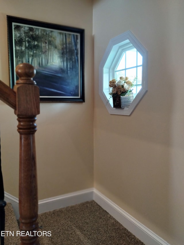 room details with carpet floors