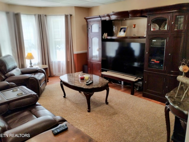 living room with light hardwood / wood-style floors