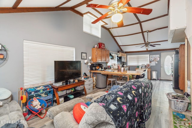 living room with ceiling fan, light wood-type flooring, and high vaulted ceiling