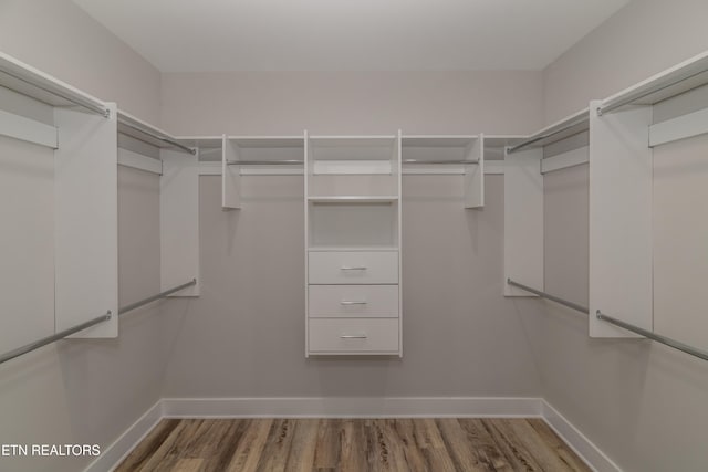 walk in closet with hardwood / wood-style floors