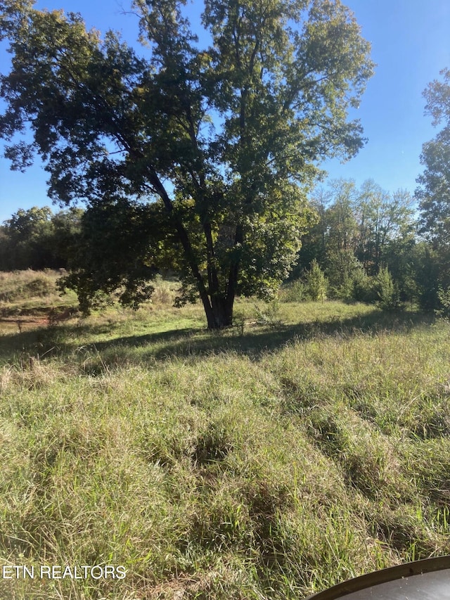 716 Buck Creek Rd, Kingston TN, 37763 land for sale