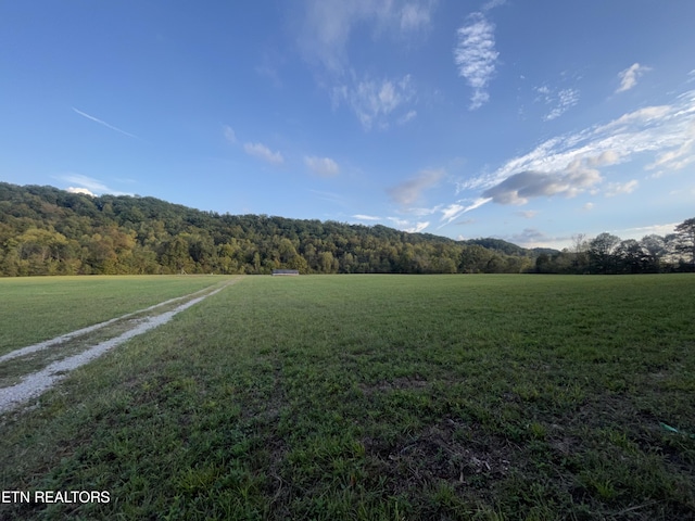 517 Paint Rock Valley Rd, Philadelphia, TN 37846 - photo 4
