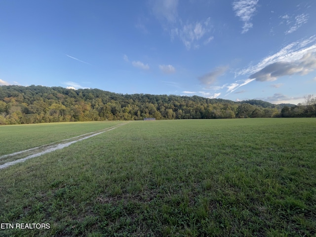 517 Paint Rock Valley Rd, Philadelphia, TN 37846 - photo 7