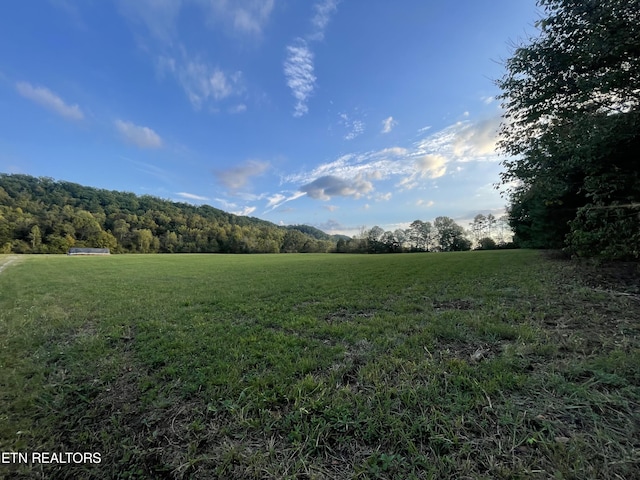 517 Paint Rock Valley Rd, Philadelphia, TN 37846 - photo 6