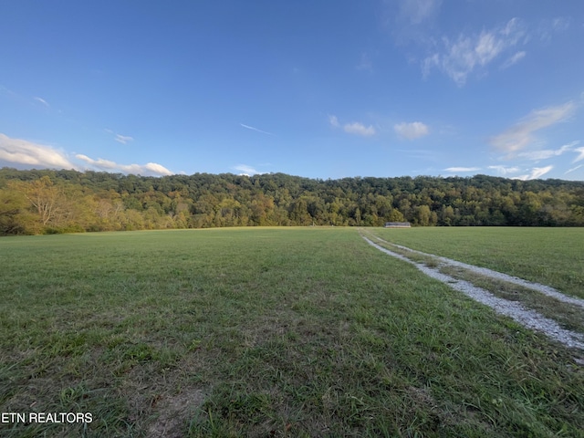 517 Paint Rock Valley Rd, Philadelphia, TN 37846 - photo 5