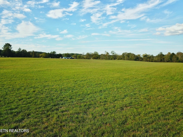 517 Paint Rock Valley Rd, Philadelphia, TN 37846 - photo 16