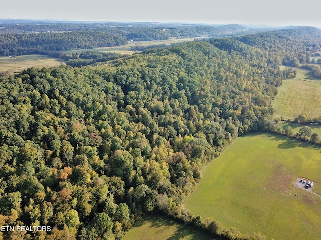 517 Paint Rock Valley Rd, Philadelphia, TN 37846 - photo 3