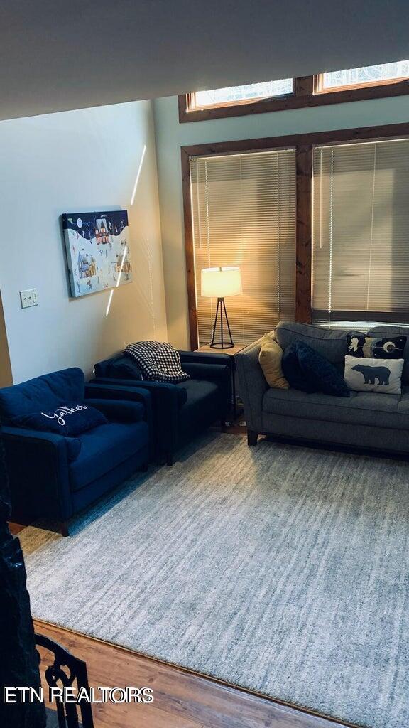 living room featuring hardwood / wood-style flooring