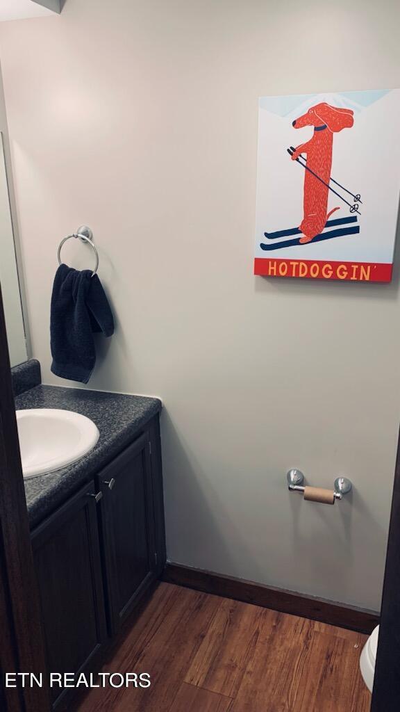 bathroom featuring wood-type flooring and vanity