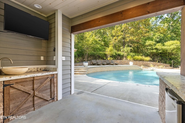 view of pool with a patio area and sink