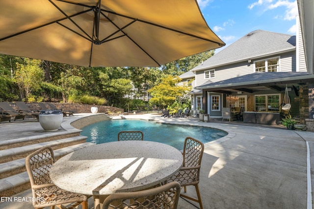 view of swimming pool with a patio area