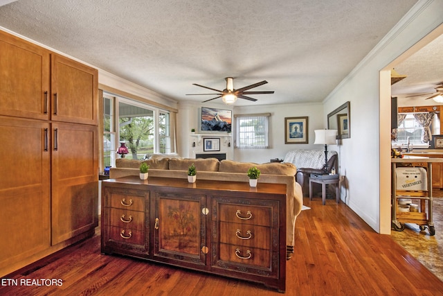 living room featuring ceiling fan, ornamental molding, a textured ceiling, and dark hardwood / wood-style flooring