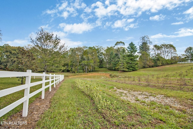 view of yard with a rural view