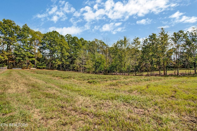 view of yard featuring a rural view