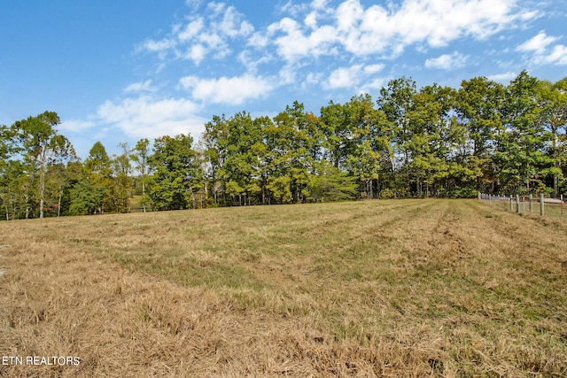 view of local wilderness featuring a rural view