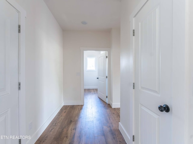 hall with dark hardwood / wood-style floors