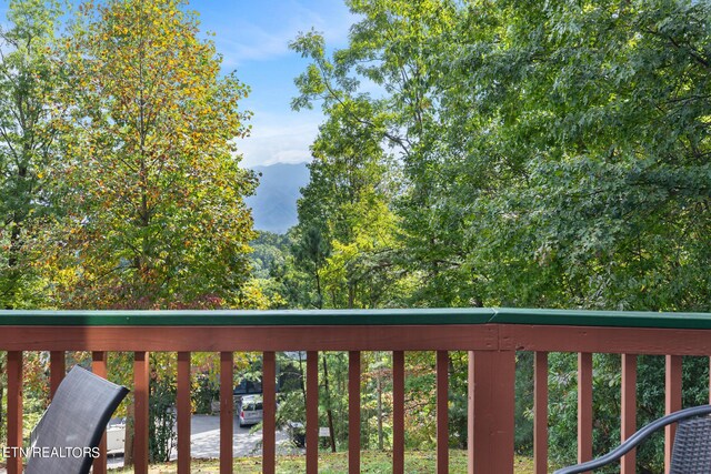2119 N Tamins Dr, Gatlinburg, TN 37738 - photo 33