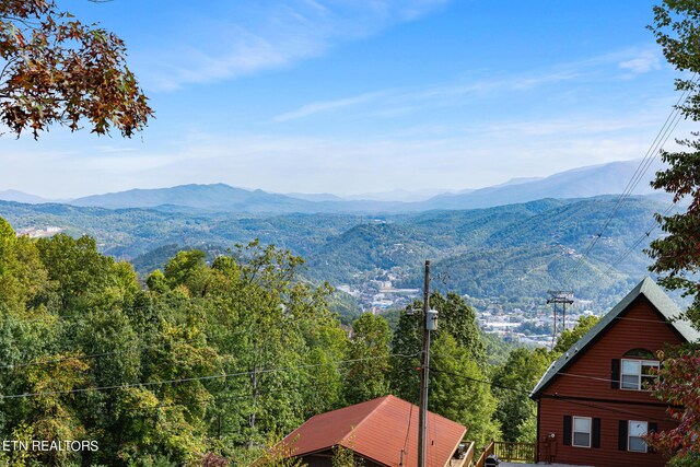2119 N Tamins Dr, Gatlinburg, TN 37738 - photo 3