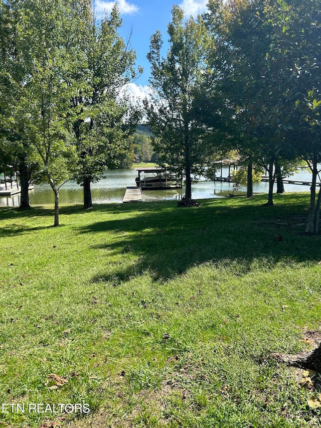 view of yard with a water view and a dock