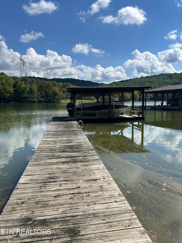 dock area with a water view