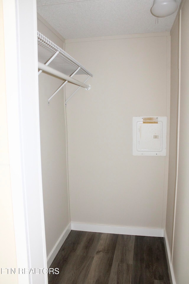 walk in closet featuring dark wood-type flooring