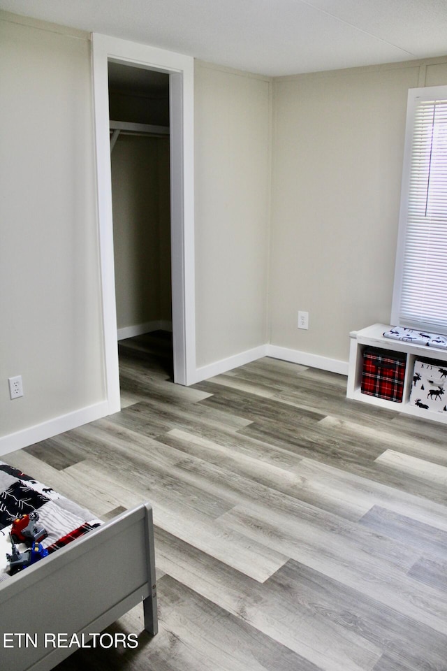 bedroom featuring a closet and wood-type flooring