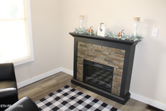 details with wood-type flooring and a stone fireplace