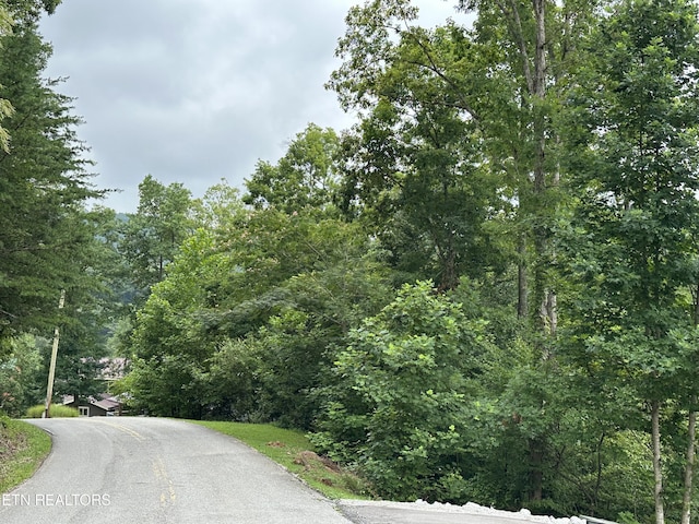 LOT21 Ridge Rd, Caryville, TN 37714