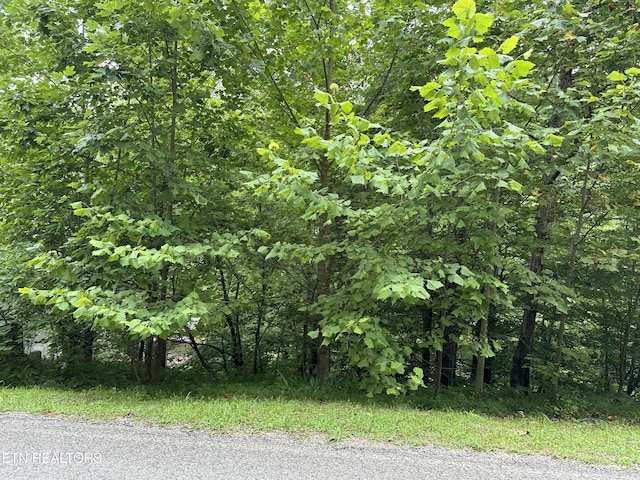 LOT21 Ridge Rd, Caryville, TN 37714
